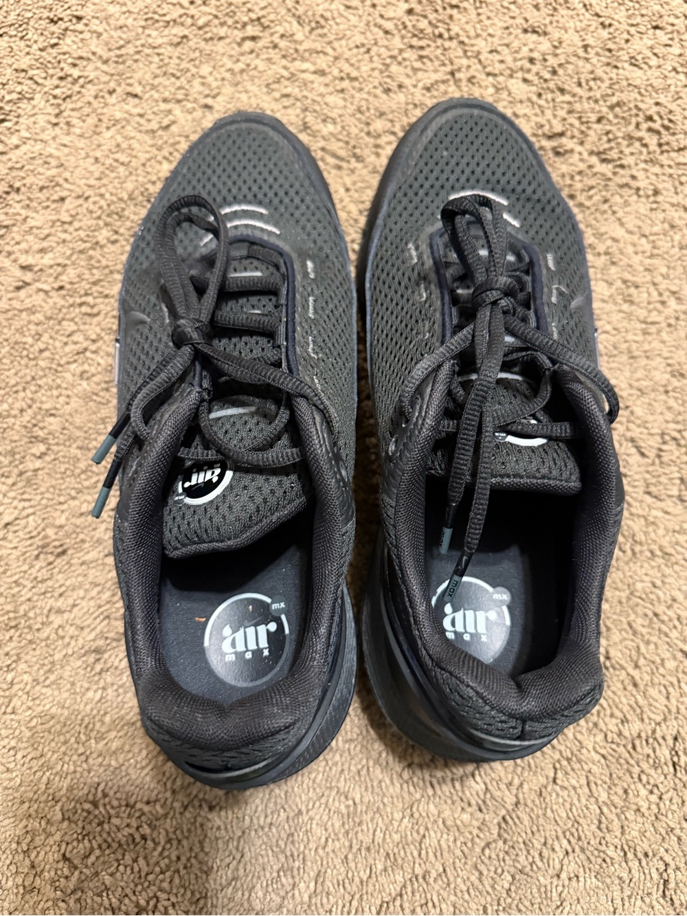 Nike Air Max Pulse Running shoes